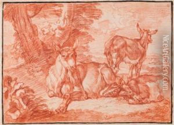 Three Resting Goats. Oil Painting - Felix Meyer