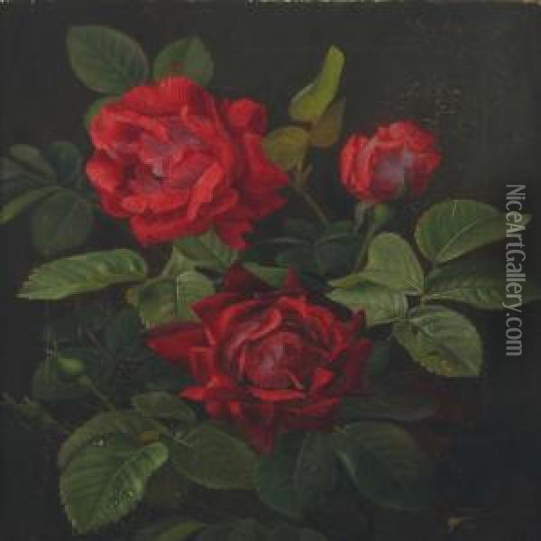 Roses Oil Painting - Christian Mollback
