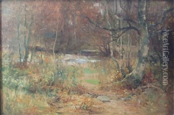 A Stream In The Woods Oil Painting - Thomas Bromley Blacklock