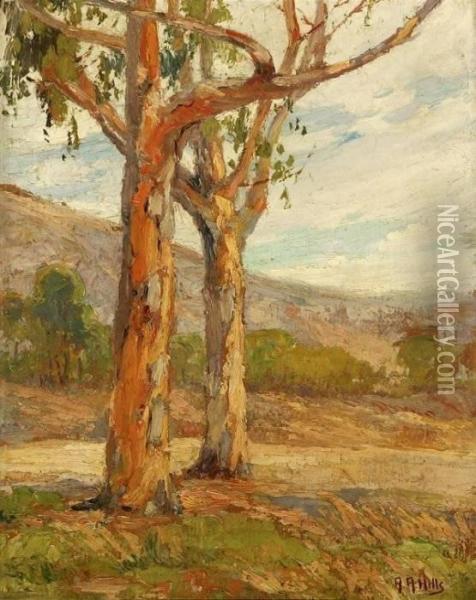 Eucalyptus In Summer Oil Painting - Anna Althea Hills