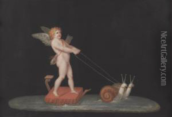 Cupid Drawn By Snails Oil Painting - Michaelangelo Maestri