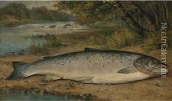 The Catch Of The Day Oil Painting - Thomas G. Targett