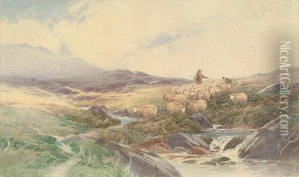 Cattle In Highland Landscape Oil Painting - Thomas, Tom Rowden