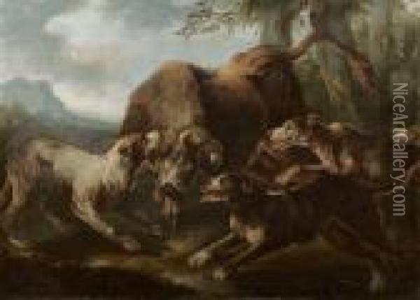Toro Assalito Da Cani Oil Painting - Il Crivellino Giovanni Crivelli