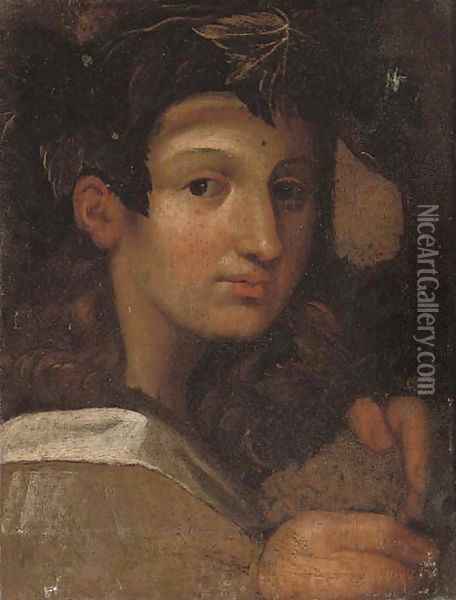 Head of the young Bacchus Oil Painting - Girolamo Francesco Maria Mazzola (Parmigianino)
