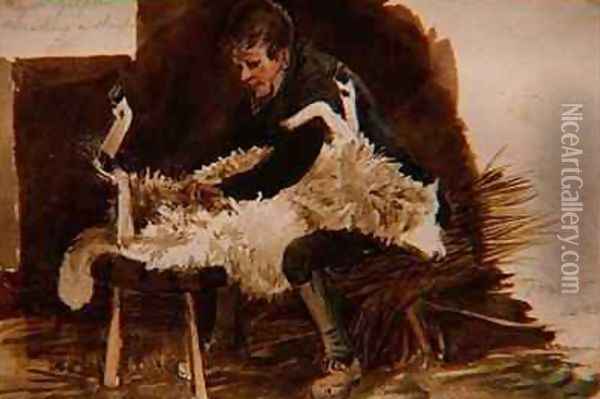 Major Gilpin Shearing a Sheep Oil Painting - John Harden