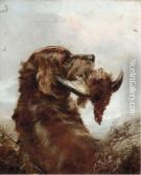 A Gun Dog With A Grouse Oil Painting - William Arnold Woodhouse