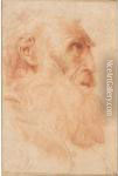 The Head Of A Bearded Old Man, Seen In Profile Oil Painting - Domenico Zampieri (Domenichino)