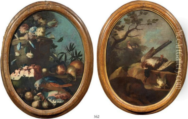 Natura Morta Con Pappagallo E Frutta E Natura Morta Oil Painting - Giorgio Duranti