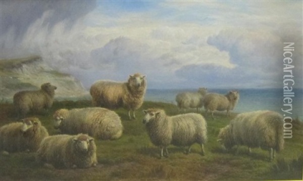 Sheep Grazing On A Cliff-top Oil Painting - Charles Jones