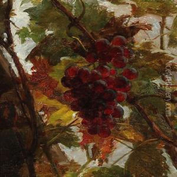 Bunch Of Grapes Oil Painting - Nicoline Tuxen