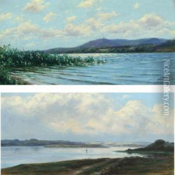 Landscapes With View Over Julso In Silkeborg Oil Painting - Johan Peter Von Wildenradt