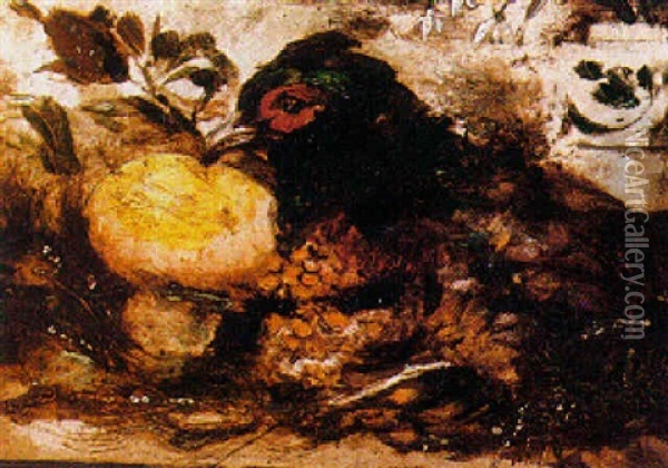 Pheasant Oil Painting - William Etty