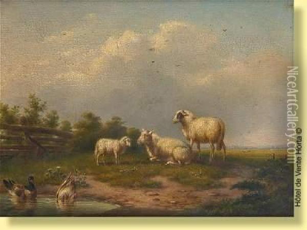 Moutons Et Canards Oil Painting - Franz van Severdonck
