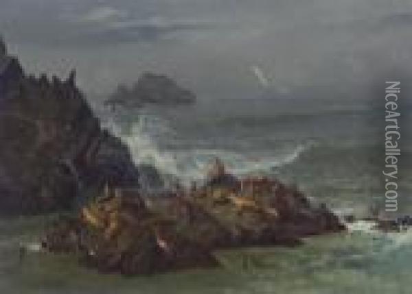 Seal Rocks, Pacific Ocean, California Oil Painting - Albert Bierstadt