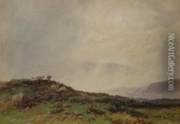 Sheep In A Moorland Landscape Oil Painting - Martin Snape