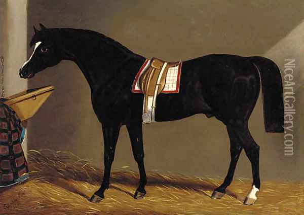 A saddled dark brown hunter in a stable Oil Painting - Edwin Loder