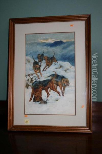 Hunting Hounds On A Snow Covered Mountain Oil Painting - Arthur Wardle