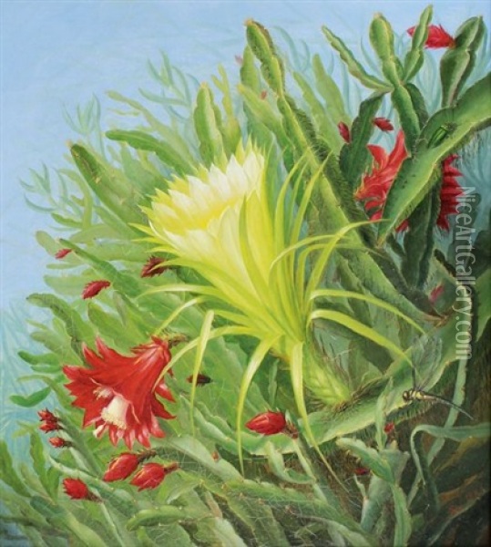 Fleurs De Cactus Oil Painting - Alfrida Baadsgaard