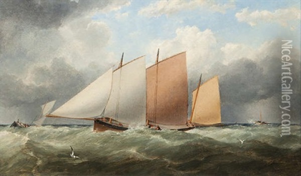 Yacht Racing In Dublin Bay Oil Painting - Matthew Kendrick