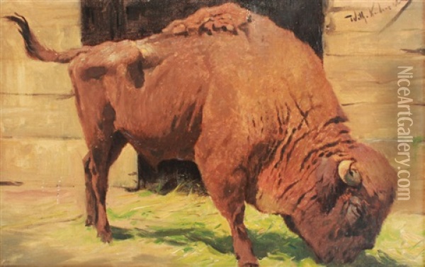 Buffalo Oil Painting - Wilhelm Friedrich Kuhnert
