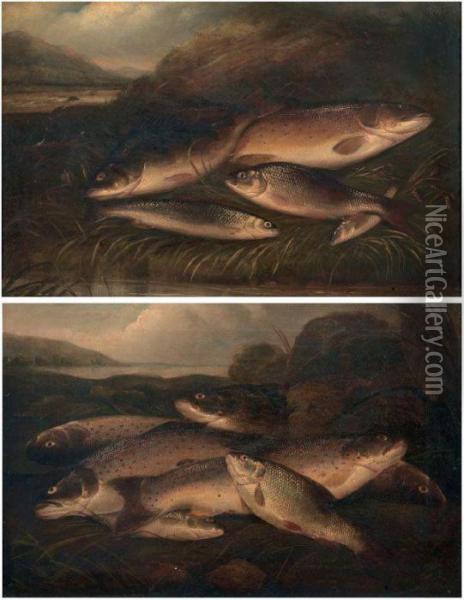 Natura Morta Con Pesci Oil Painting - Henry Leonidas Rolfe