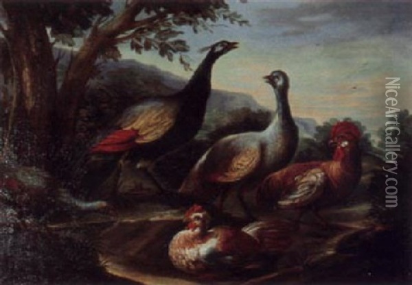 Pfauen Und Hahn In Landschaft Oil Painting - Angelo Maria (Crivellone) Crivelli