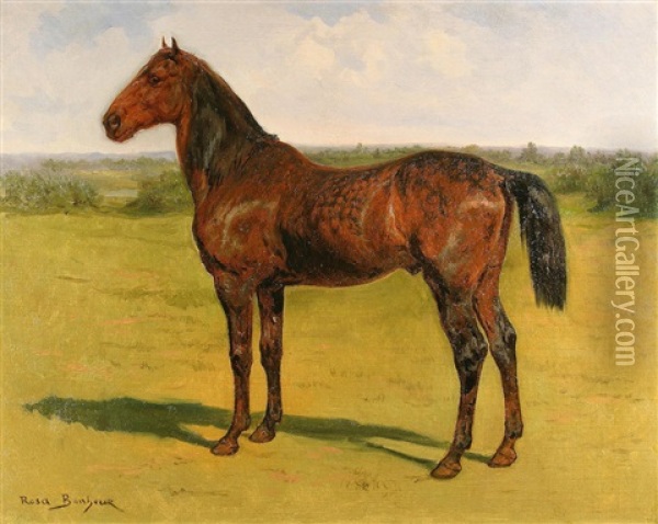A Bay Horse In A Landscape Oil Painting - Rosa Bonheur