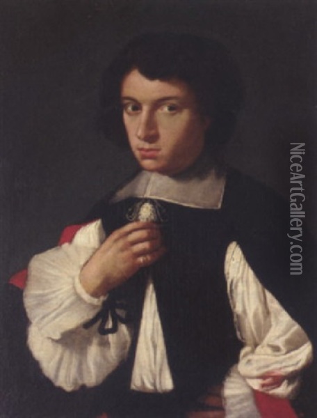 Portrait Of A Gentleman In A White Shirt And Black Gown Oil Painting - Giovanni Bernardo Carboni