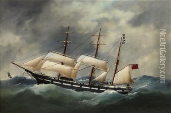 The S.s. Argosy In Heavy Seas Oil Painting - Edouard Adam