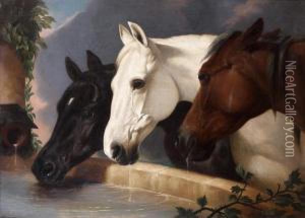 Chevaux A L'abreuvoir Oil Painting - Alfred H. Green