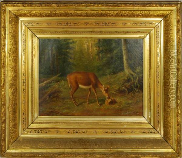 Deer In Landscape Oil Painting - Arthur Fitzwilliam Tait