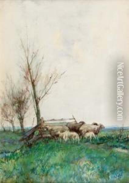 Sheep By A Fence Oil Painting - Willem Van Der Nat
