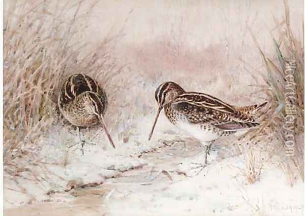 Snipe in snow Oil Painting - William Woodhouse