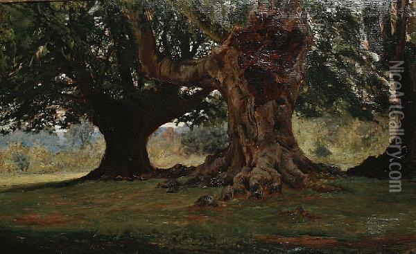 A Woodland Landscape Oil Painting - Edward John Gregory