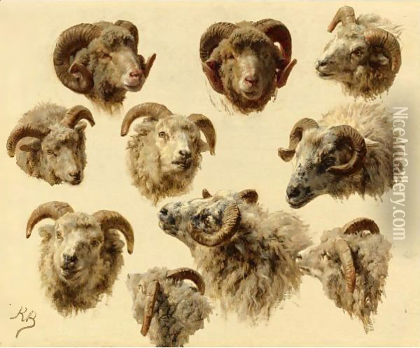 Study Of Rams' Heads Oil Painting - Rosa Bonheur