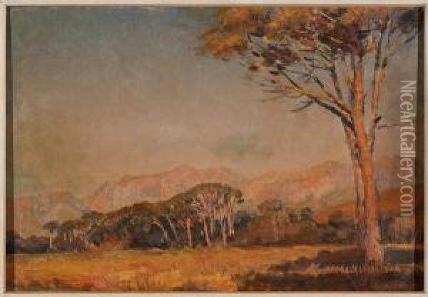 Franschhoek, Western Cape Oil Painting - Frans David Oerder