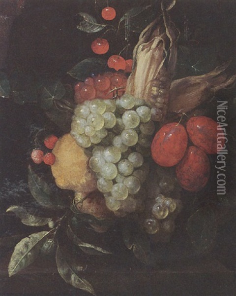 A Still Life With A Bunch Of White And Black Grapes, Prunes, Lemons, Corn, Cherries And Strawberries Hanging Above A Stone Ledge Oil Painting - Jan Pauwel Gillemans The Elder