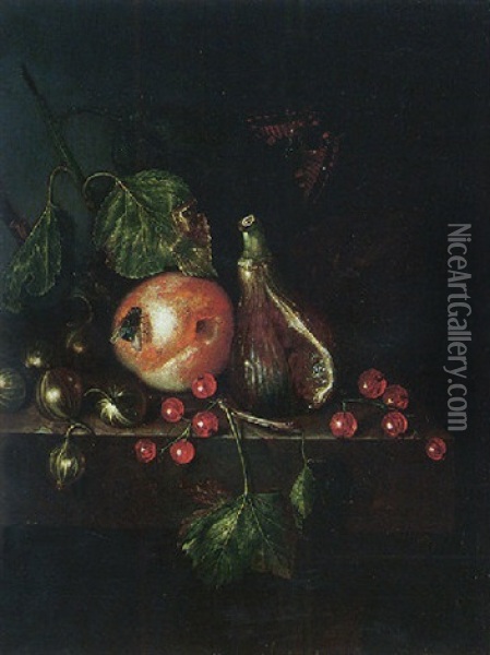 Still Life Of A Fig, A Plum, Gooseberries And Redcurrants, Together With A Fly And A Tortoiseshell Butterfly, Upon A Stone Ledge Oil Painting - Catharina Treu