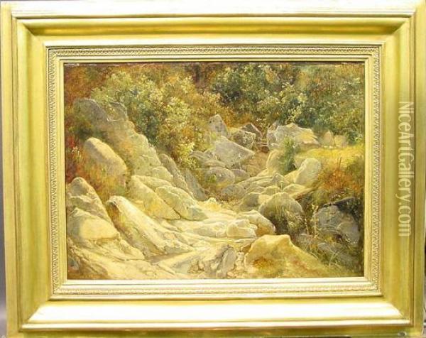 A Sunlit Streambed Oil Painting - Friedrich Nerly