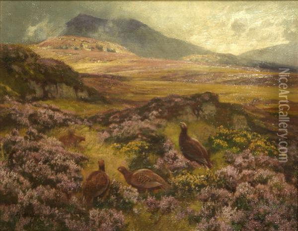 Grouse On A Moor Oil Painting - Abel Hold