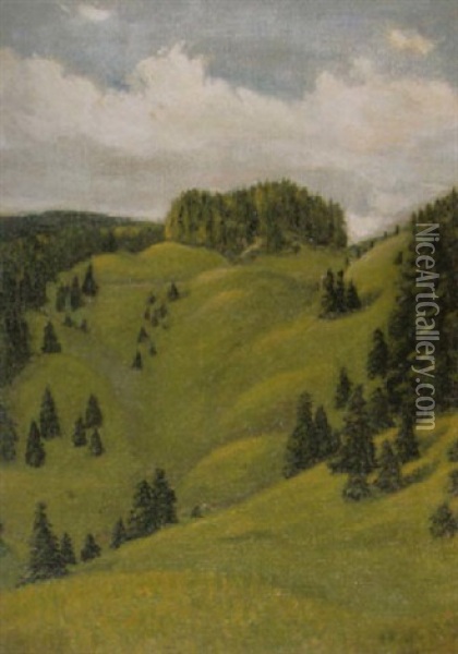 Bewaldete Hugellandschaft Oil Painting - Abraham Hermenjat