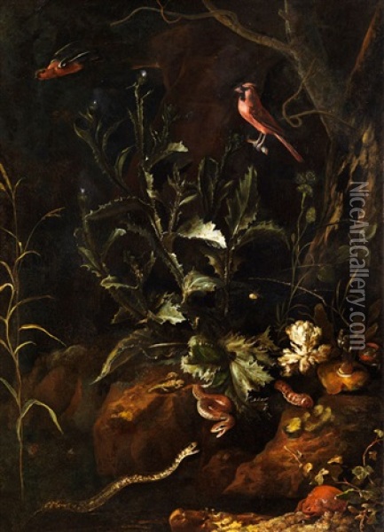 Grosses Stilleben Mit Zwei Schlangen, Krote, Spinne Und Anderen Kleintieren Oil Painting - Otto Marseus van Schrieck
