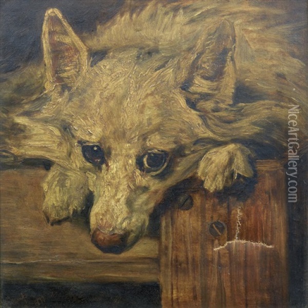 Portrait Of Scamp Oil Painting - John Emms