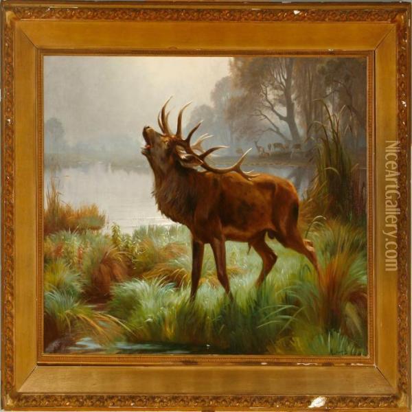 Roaring Stag Standing By A Lake Oil Painting - Adolf Henrik Mackeprang