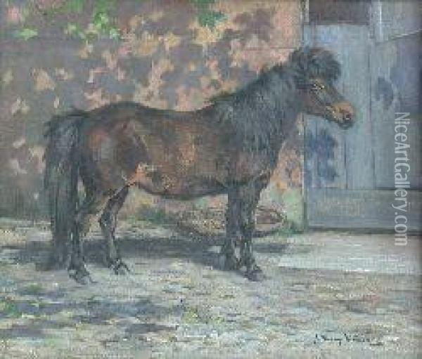 Study Of A Shetland Pony Sybil Oil Painting - J. Murray