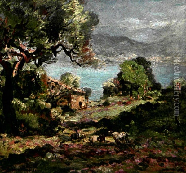 Bord De Mer En Provence Oil Painting - Fernand Maillaud