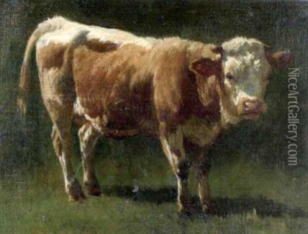 Junger Stier Oil Painting - Hermann Baisch