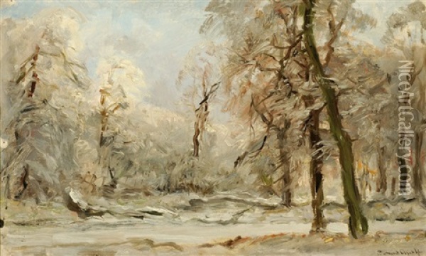 Snow-covered Forest Oil Painting - Louis Apol