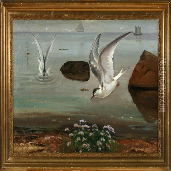 Diving Terns Oil Painting - Hans Ludvig Smidth
